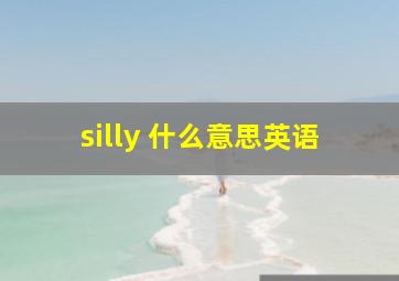 silly 什么意思英语